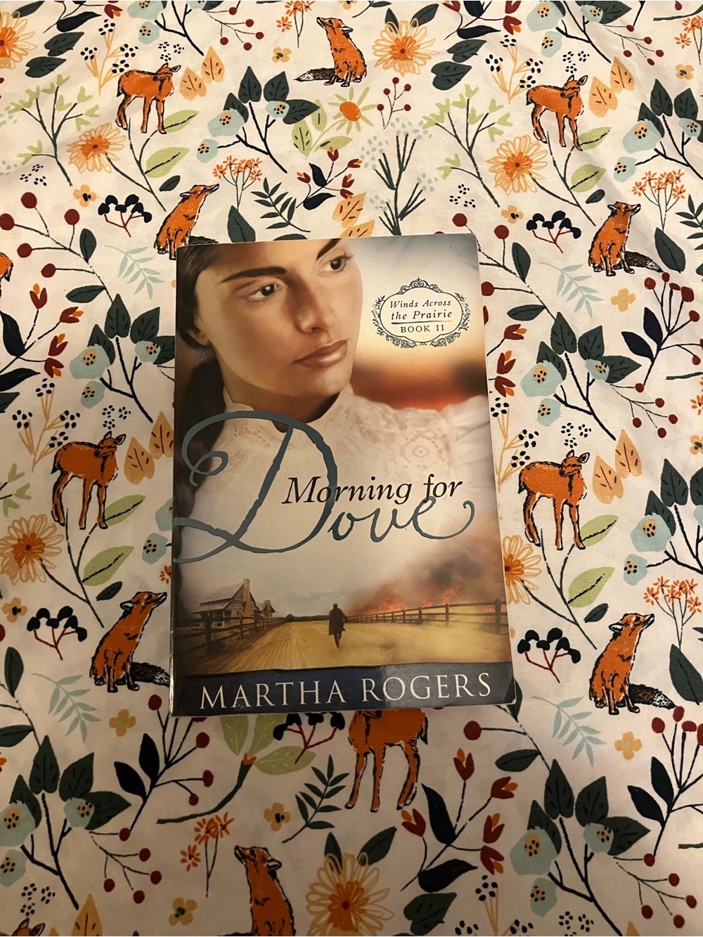 Morning for Dove by Martha Rogers
Winds Across The Prairie Book 2